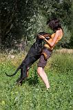 ENFANT ET CHIEN 350